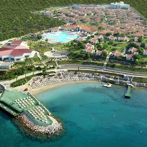 Resort Palm Wings *****